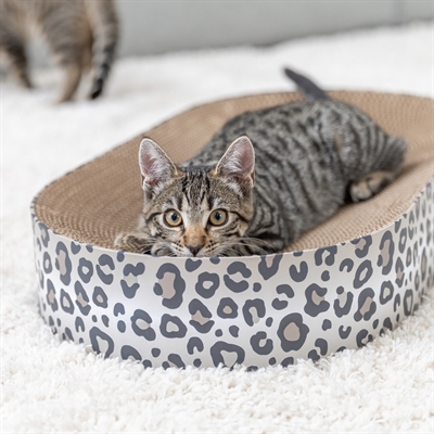 <span id="brand" data="trixie"/> krabmand Leo karton 63×35×10 cm – crème met catnip