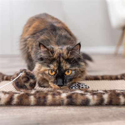 <span id="brand" data="trixie"/> krabmat Leo panterprint 55×35 cm – bruin