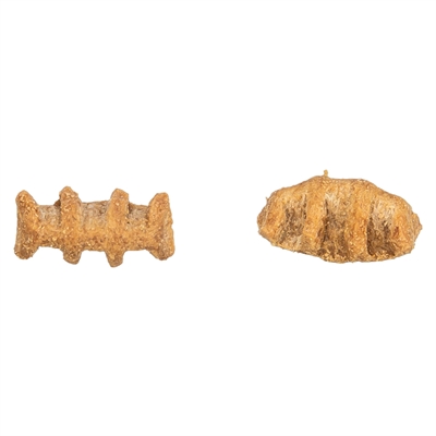 TRIXIE Kattensnack Fish Bones Kippenborst & Zalm 50 g