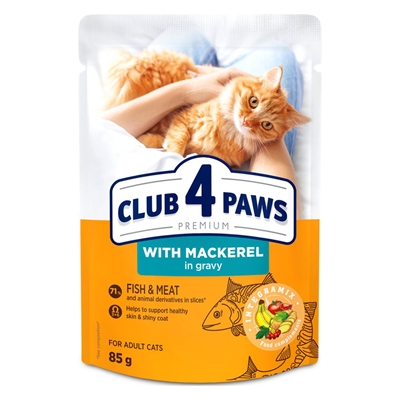 CLUB 4 PAWS kattenvoer Premium makreel in jus 24x85 g