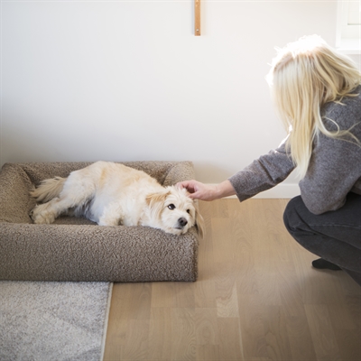 BIA hondenmandhoes Premium Teddy 60×50×12,5 cm – beige