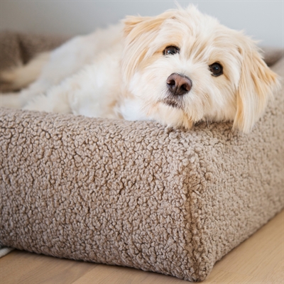 BIA Bedhoes Premium Teddy - zacht, machinewasbaar (40°C) - Beige - 85x70x15 cm