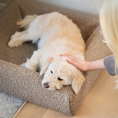 BIA Hondenbedhoes Premium Hoes Teddy - Zacht & machinewasbaar - Beige - 120x100x15 cm