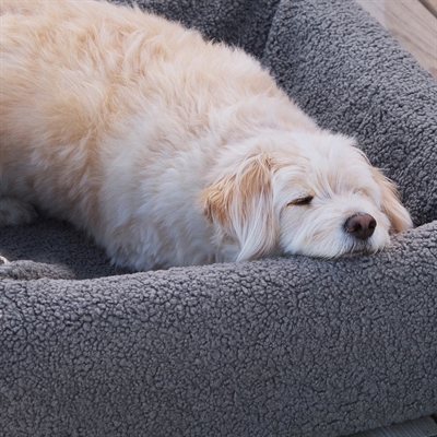 BIA Hondenbedhoes Premium Zacht teddy, machinewasbaar - Grijs - 120x100x15 cm