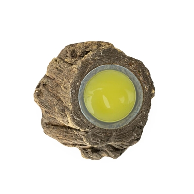 BACK ZOO NATURE Fruitcup houder Bark-look 5×3 cm – assorti