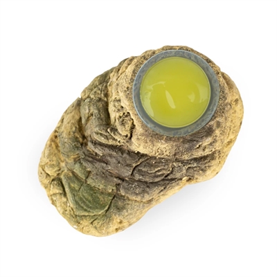 BACK ZOO NATURE fruitcup houder steenlook 10×6×3,5 cm – assorti