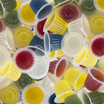 BACK ZOO NATURE fruitkuipjes Mix Assorti - 100 st