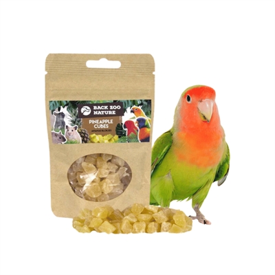 BACK ZOO NATURE fruitsnack Ananasblokjes 50 g - vogels & knaagdieren