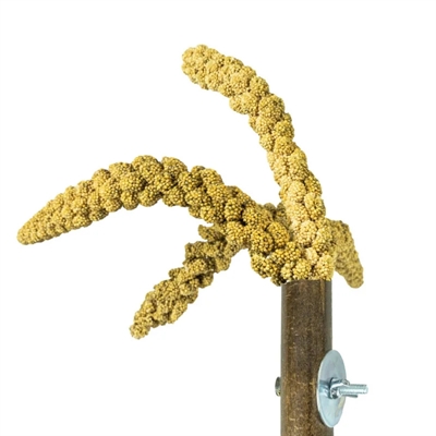 BACK ZOO NATURE grashouder 20×3 cm – bamboe voor vogelkooi