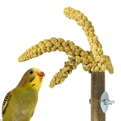 BACK ZOO NATURE grashouder 20×3 cm – bamboe voor vogelkooi