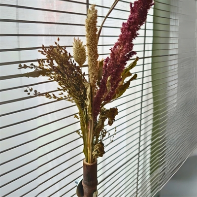 BACK ZOO NATURE grashouder 20×3 cm – bamboe voor vogelkooi