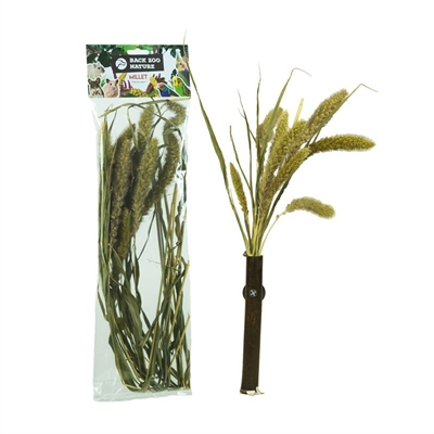 BACK ZOO NATURE Trosgierst Setaria 30 g – voor vogels & knaagdieren