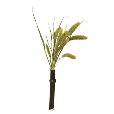 BACK ZOO NATURE Trosgierst Setaria 30 g – voor vogels & knaagdieren