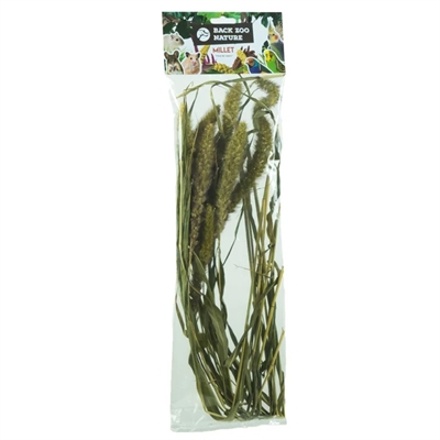 BACK ZOO NATURE Trosgierst Setaria 30 g – voor vogels & knaagdieren