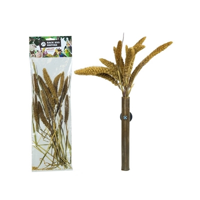 BACK ZOO NATURE trosgierst Setaria Italica 50 g