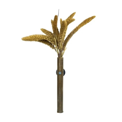 BACK ZOO NATURE trosgierst Setaria Italica 50 g