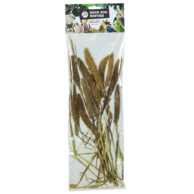 BACK ZOO NATURE trosgierst Setaria Italica 50 g