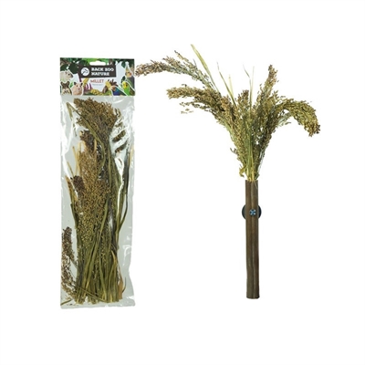 BACK ZOO NATURE trosgierst Panicum 40 g – vogels & knaagdieren