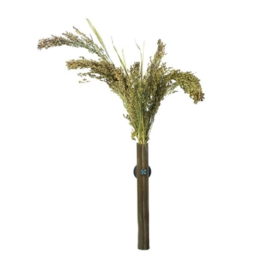 BACK ZOO NATURE trosgierst Panicum 40 g – vogels & knaagdieren