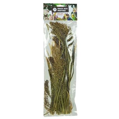 BACK ZOO NATURE trosgierst Panicum 40 g – vogels & knaagdieren
