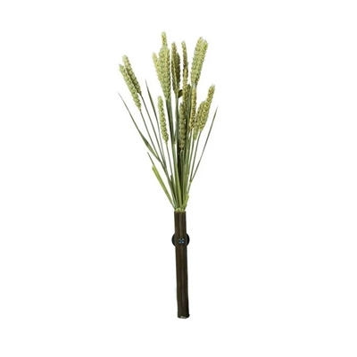 BACK ZOO NATURE trosgierst Millet Tarwe 50 g