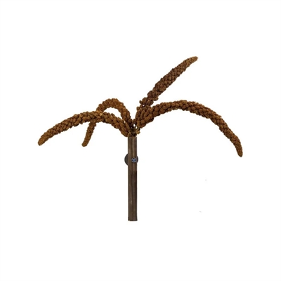 BACK ZOO NATURE Franse trosgierst rood 150 g