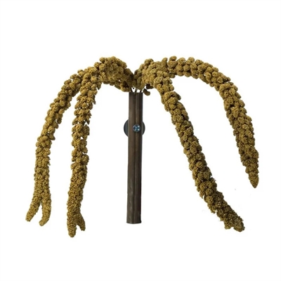 BACK ZOO NATURE Franse trosgierst geel 150 g – vogels & knaagdieren