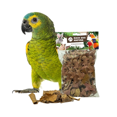 BACK ZOO NATURE eikenbladeren Discovery Leaves ca. 50 g