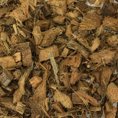 BACK ZOO NATURE Discovery bodembedekking Topping 20L – natuurmix