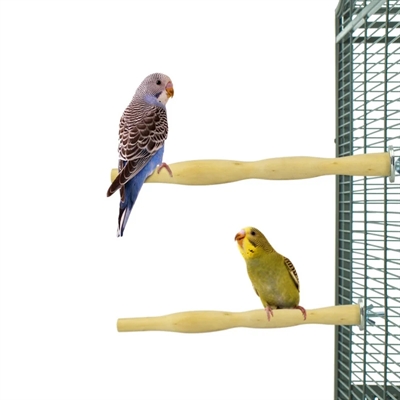 BACK ZOO NATURE Houten zitstokken 25 cm – set van 2