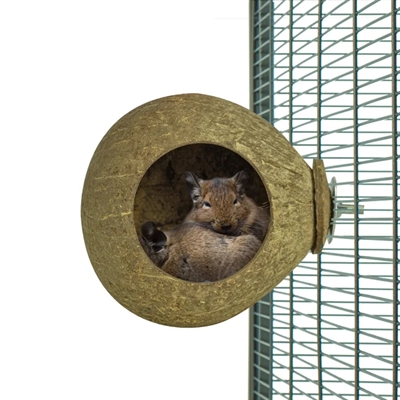 BACK ZOO NATURE kokosnoot huisje ca. 9,5 cm – voor vogels/knagers