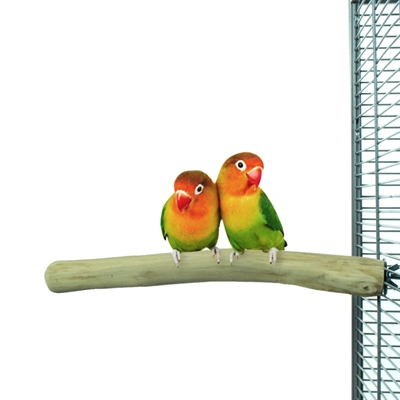 BACK ZOO NATURE Sitzstange Java Perch ca. 25×1–2,5 cm