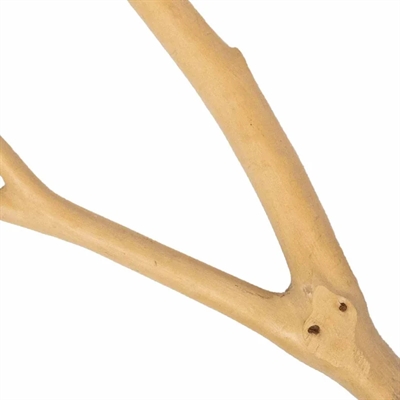 BACK ZOO NATURE zitstok Multi Branch spiderwood ca. 25×28×2 cm