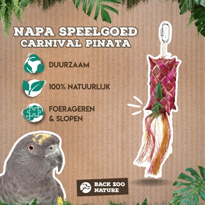BACK ZOO NATURE vogelspeeltje Carnival Pinata 30×5×5 cm