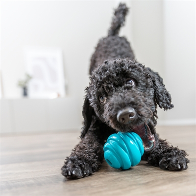 TRIXIE Hondenbal Super Strong TPR - Spiraalstuiter - Petrol - 6x6 cm