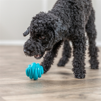 TRIXIE Bal Super Strong TPR - Stevig met spiraalstuiter - Petrol - 7,5 cm