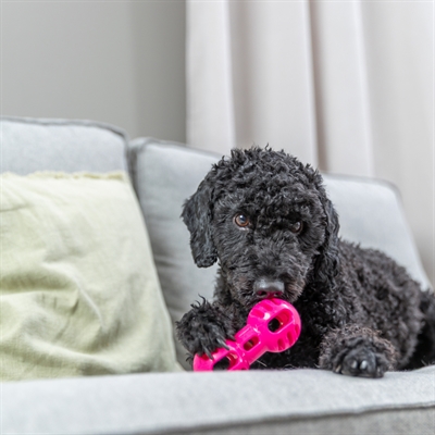 TRIXIE Hondenspeelgoed Dumbell Soft & Strong TPR - Halter met openingen, licht & flexibel - Roze - 14,5×6,5×6,5 cm