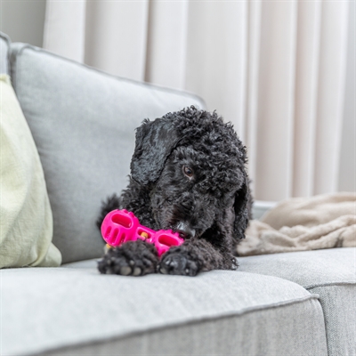 TRIXIE Hondenspeelgoed Dumbell Soft & Strong TPR - Halter met openingen, licht & flexibel - Roze - 14,5×6,5×6,5 cm