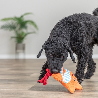 TRIXIE Hondenspeeltje Zeester met flostouw Zacht knuffel en trekspel - Oranje - 22x18x7,5 cm