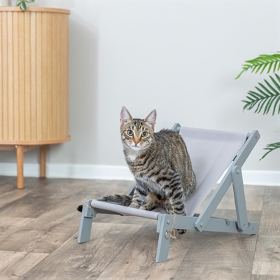 TRIXIE Strandstoel Hout - Verstelbare rugleuning, inklapbaar, gelakt FSC-hout - Grijs - 51x33x37 cm