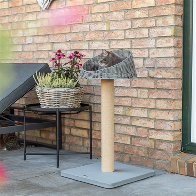 TRIXIE Krabpaal Amalia | Waterafstotend outdoor met gevoerd polyrattan ligbed - Grijs - 48x48x88 cm