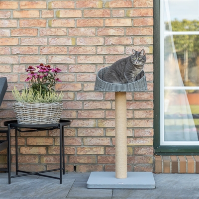 TRIXIE Krabpaal Amalia | Waterafstotend outdoor met gevoerd polyrattan ligbed - Grijs - 48x48x88 cm