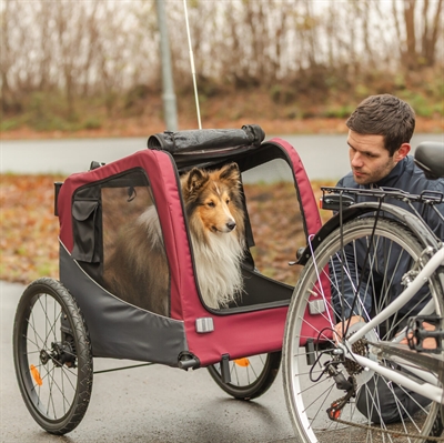 TRIXIE Hondenfietskar 61/125x56x64 cm Ventilatie & zicht | Stevige wielen, opvallende vlag - Grijs/rood - Max 15 kg