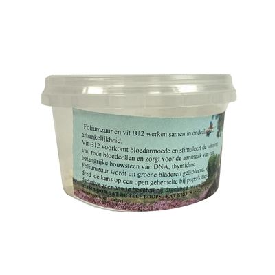 Dierendrogist Foliumzuur Vitamine B12 100 TBL – Voedingssupplement
