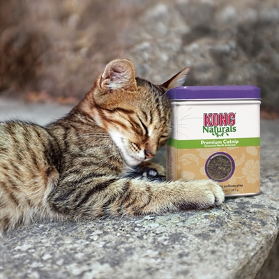 KONG kattenkruid navulling 30 gr – Noord-Amerikaanse catnip