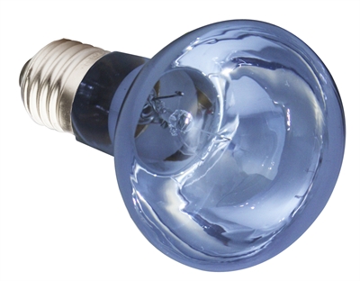 KOMODO Daglichtlamp Neodymium ES - Witter daglicht, UVA stimuleert eetlust & diepe IRA-warmte - 75W