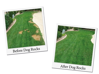 DOG ROCKS Dog Rocks 200 gr – 100% Natuurlijk voor Groen Gazon