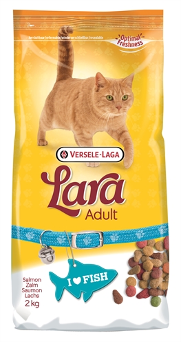LARA kattenvoer Adult Zalm 2 KG – Volledige diervoeding voor katten