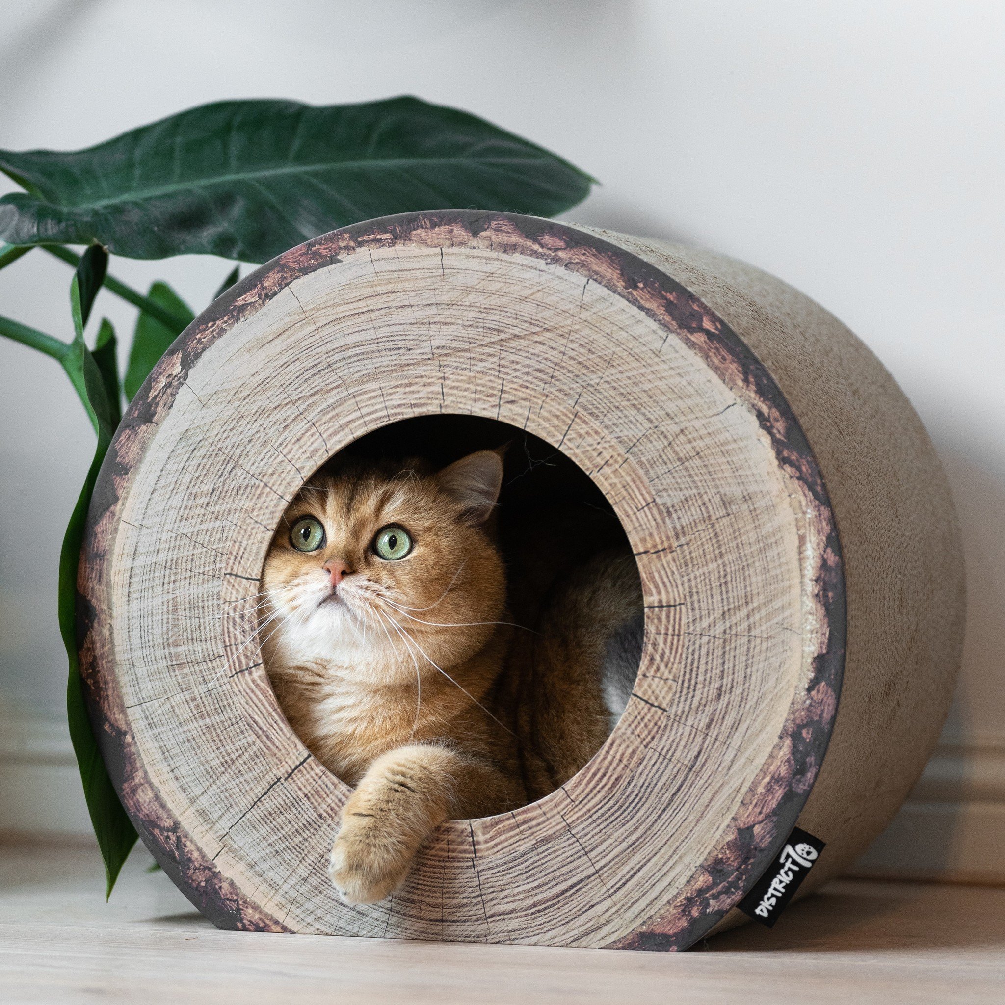 District 70 Krabmeubel TRUNK Boomstam Design – Katten meubel
