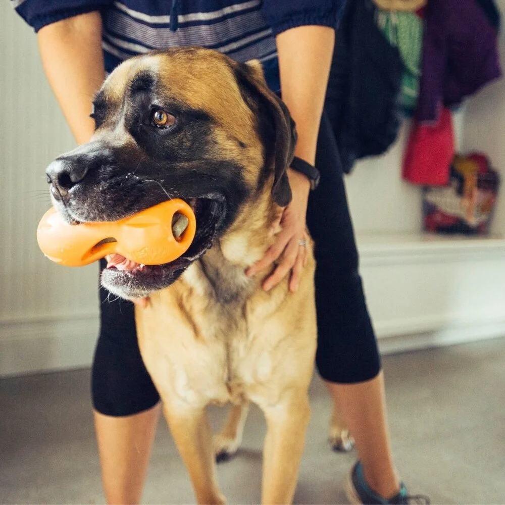 West Paw honden speelgoed Zogoflex Qwizl S - 14 cm – Tangerine Oranje